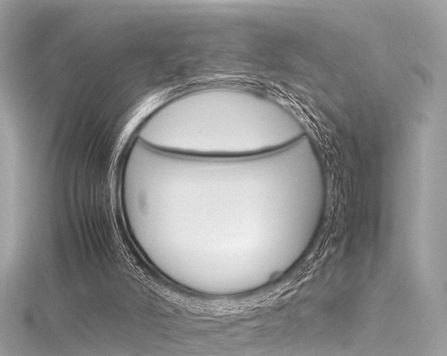 X0000116330006200912011014