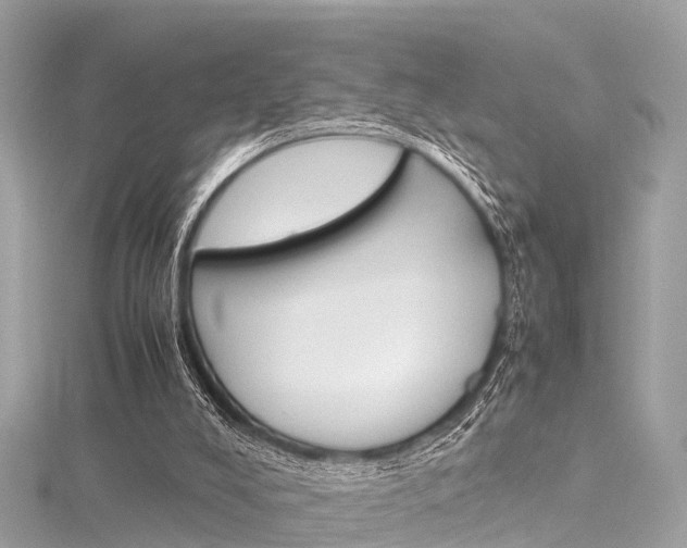 X0000116330008200912011014