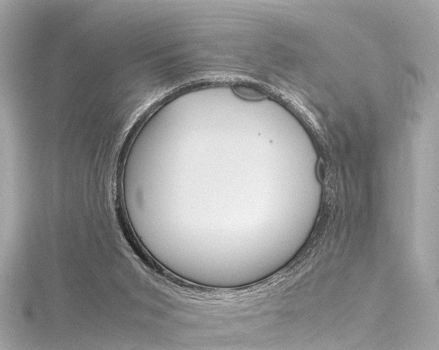 X0000116330015200912011014