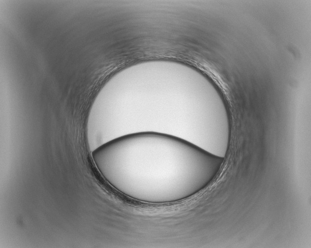 X0000116330017200912011014