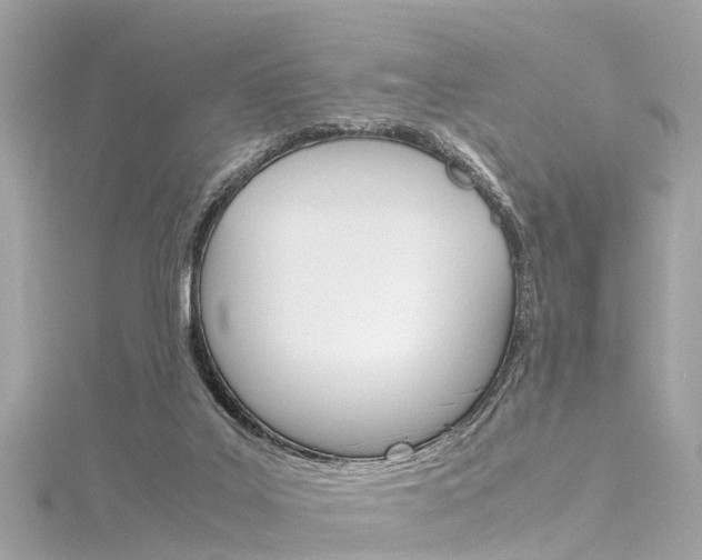 X0000116330019200912011014