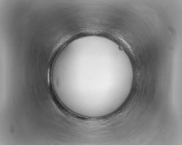 X0000116330020200912011014