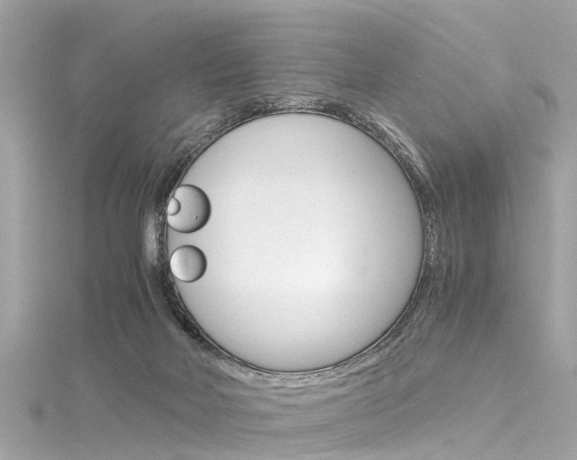 X0000116330026200912011014