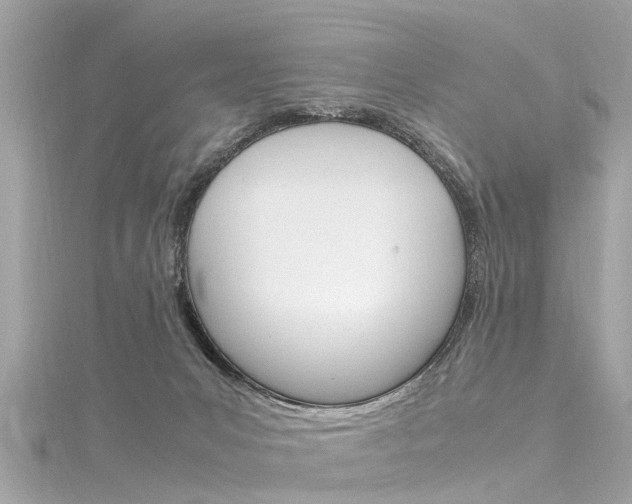 X0000116330031200912011014