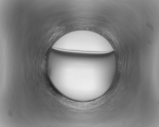 X0000116330035200912011014
