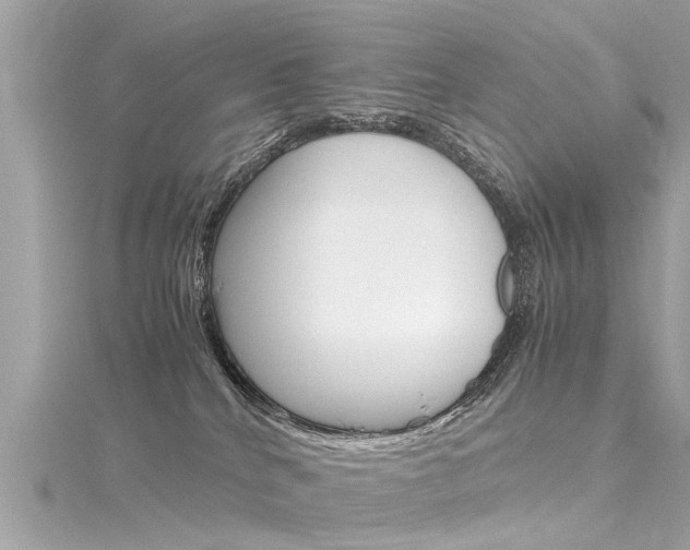 X0000116330040200912011014