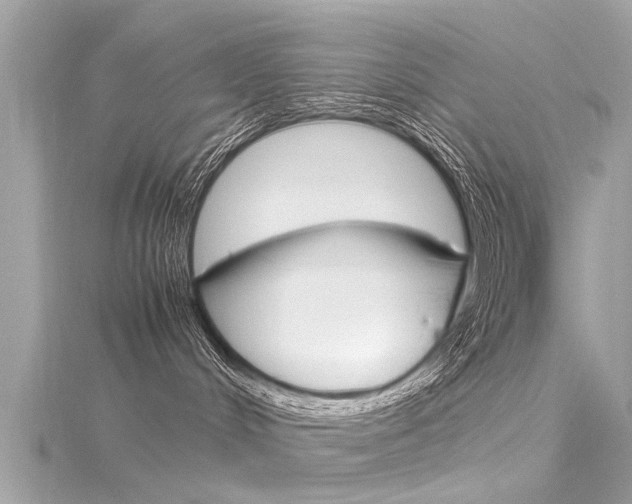 X0000116330048200912011014