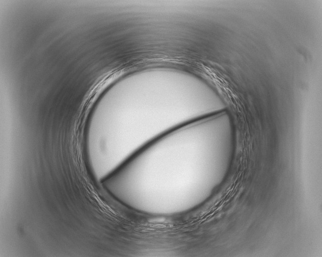 X0000116330050200912011013