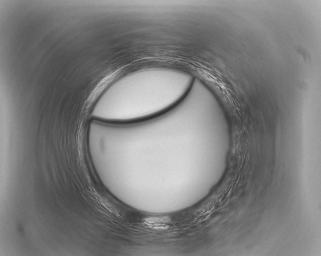 X0000116330051200912011013
