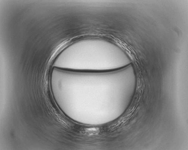 X0000116330053200912011013