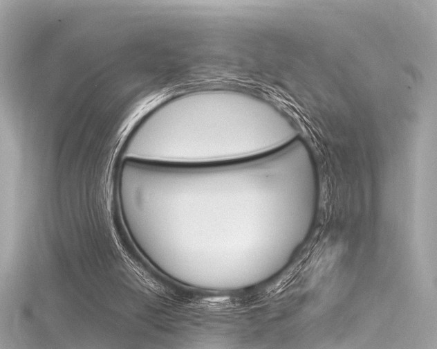 X0000116330054200912011013