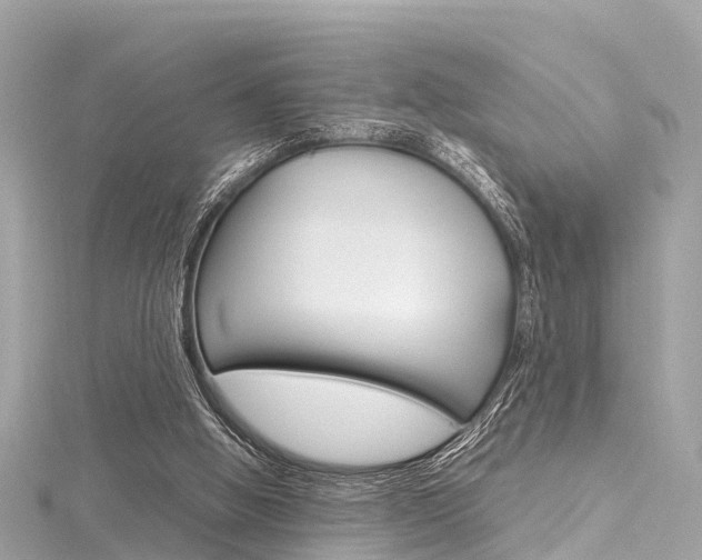X0000116330058200912011013