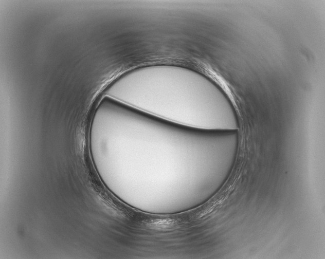X0000116330059200912011013