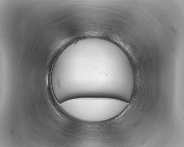X0000116330062200912011013