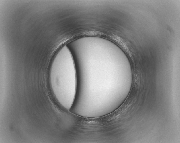 X0000116330063200912011013