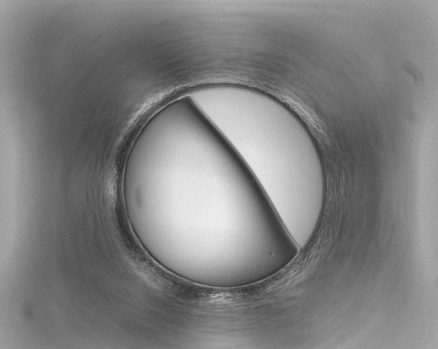 X0000116330064200912011013