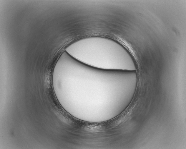 X0000116330065200912011013