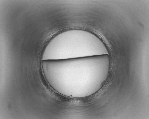 X0000116330066200912011013