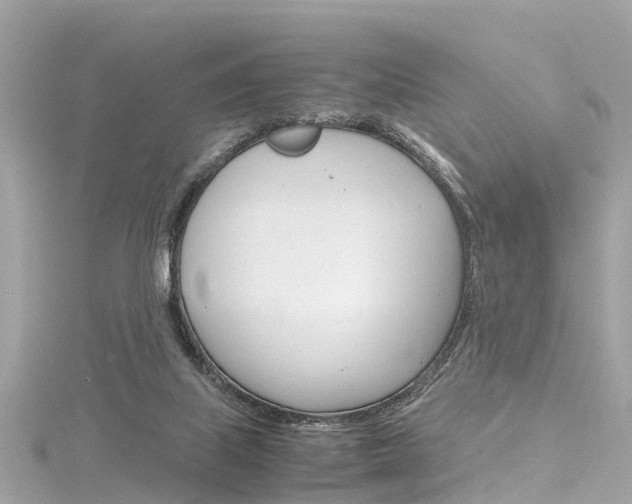 X0000116330067200912011013