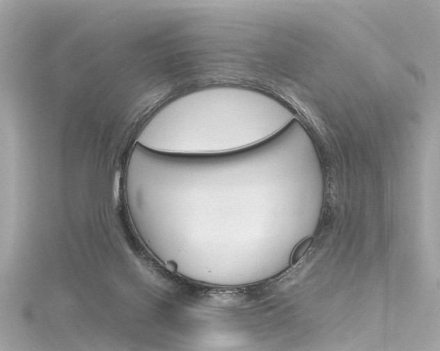 X0000116330070200912011013