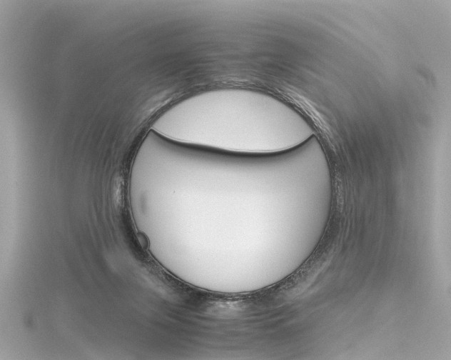 X0000116330071200912011013