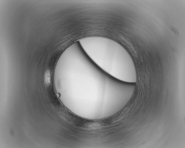 X0000116330075200912011013