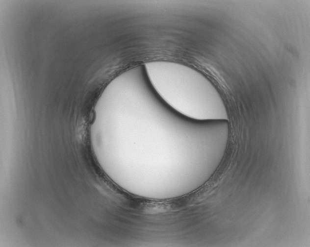 X0000116330077200912011013