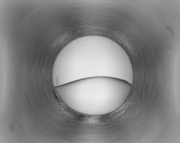 X0000116330078200912011013