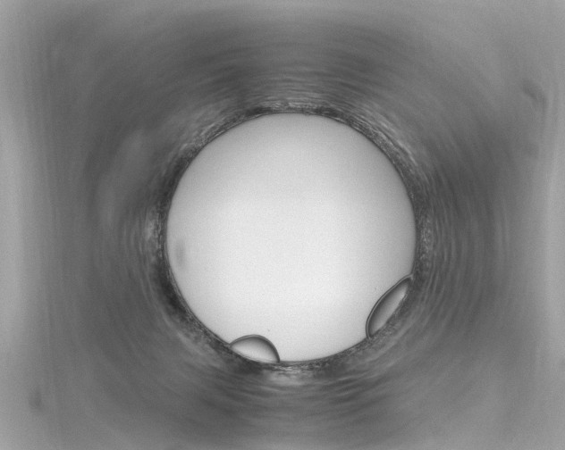 X0000116330079200912011013