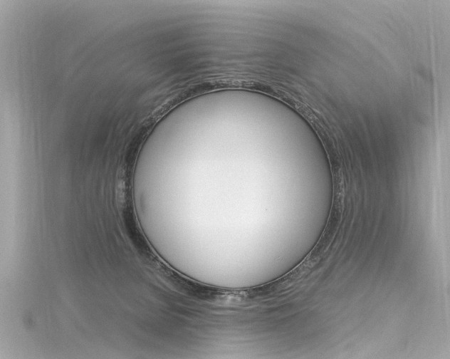 X0000116330080200912011013