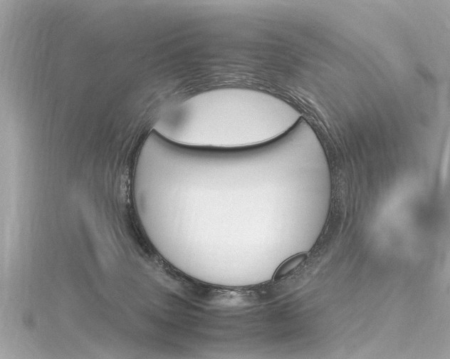X0000116330083200912011013