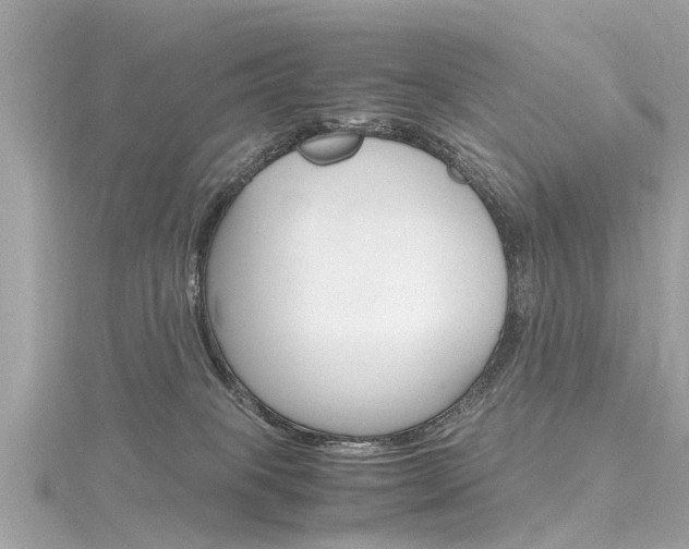 X0000116330085200912011013