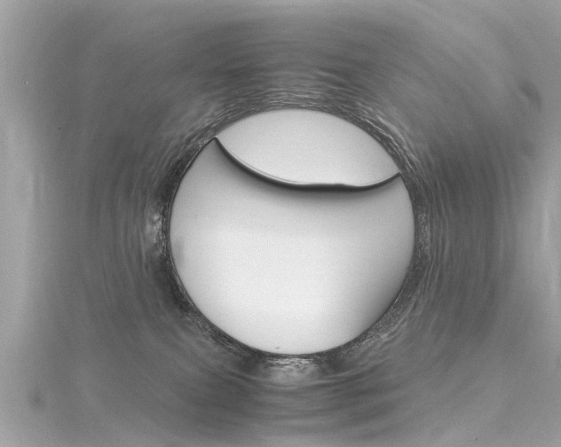 X0000116330087200912011013