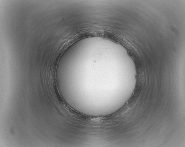 X0000116330088200912011013