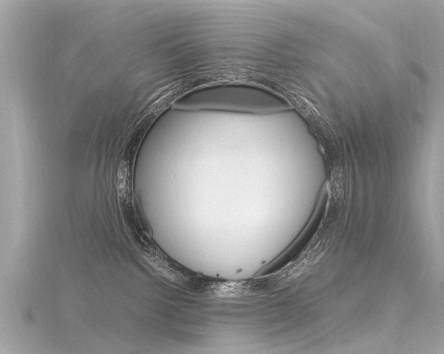 X0000116330092200912011014
