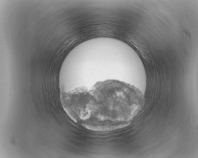 X0000116330093200912011014