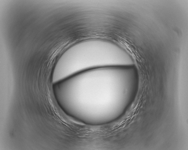 X0000116330097200912011013