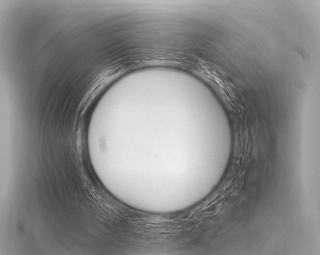 X0000116330098200912011013