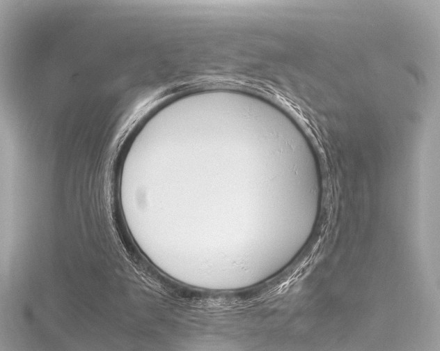 X0000116330103200912011013