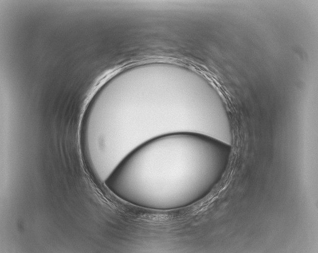 X0000116330104200912011013
