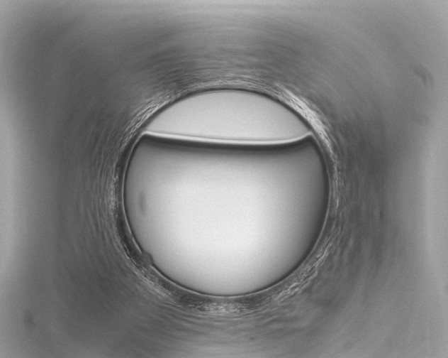 X0000116330105200912011013