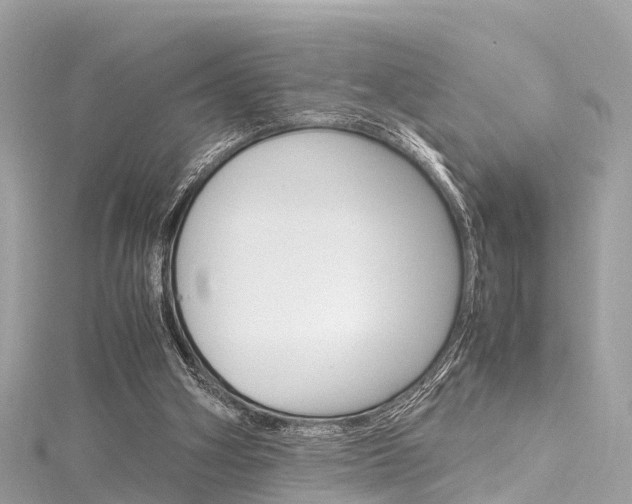 X0000116330106200912011013