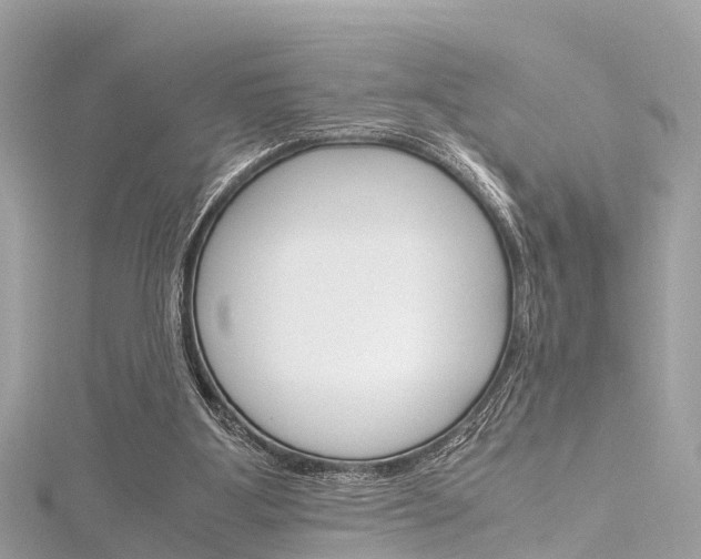 X0000116330107200912011013