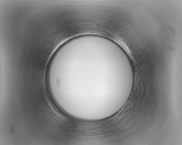 X0000116330108200912011013