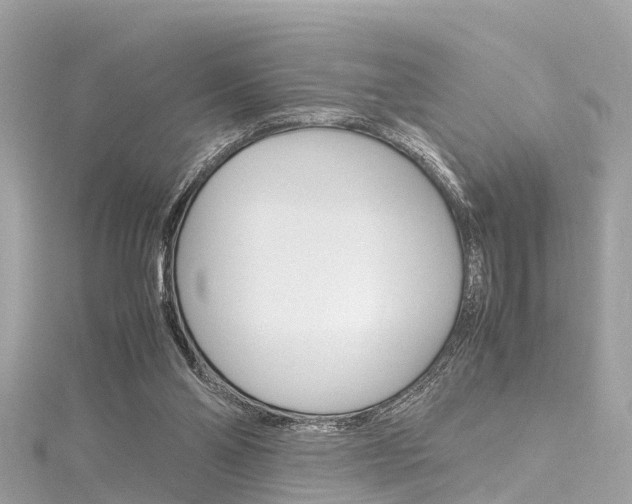 X0000116330110200912011013