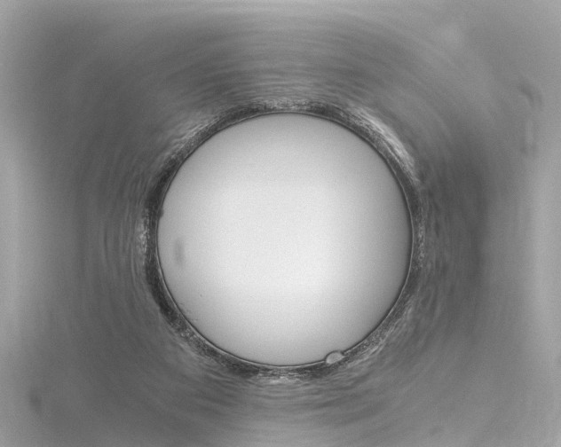 X0000116330113200912011013