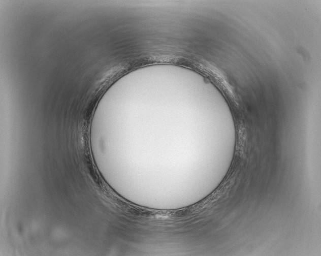 X0000116330114200912011013