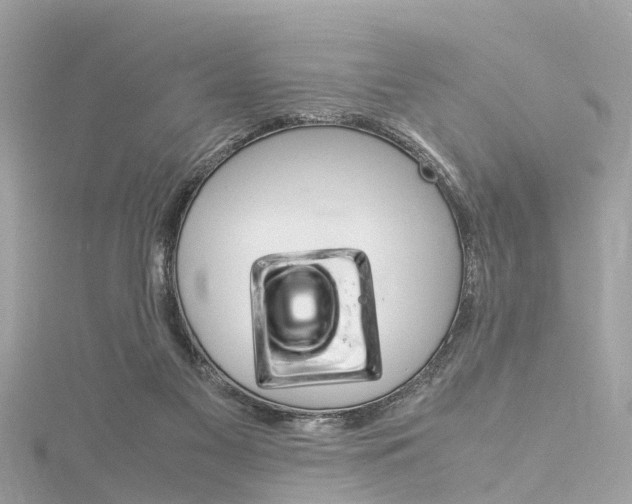X0000116330117200912011013