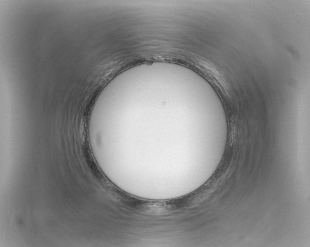 X0000116330121200912011013