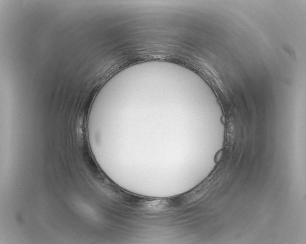 X0000116330122200912011013